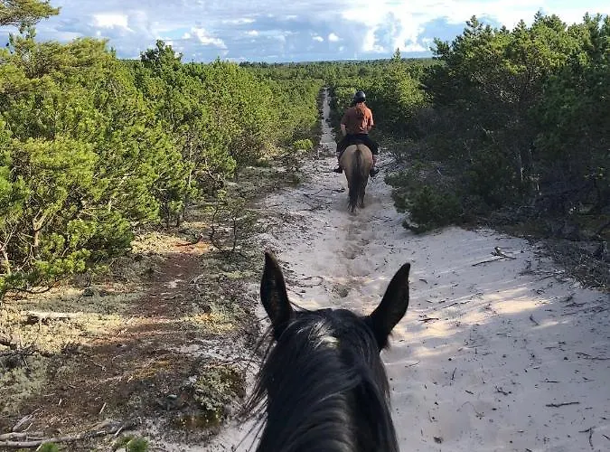 Blisko Morza Semesterbostad